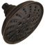 H2OKinetic 5-Setting Traditional Raincan Shower Head (Venetian Bronze), 52669-RB