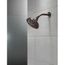 H2OKinetic 5-Setting Traditional Raincan Shower Head (Venetian Bronze), 52669-RB
