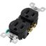Duplex Receptacle w/ Quickwire, 15A, 5-15R - Black (125V)
