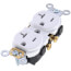 Industrial Specification Grade Duplex Receptacle, 20A, 125V (White)