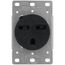 Flush Mount Receptacle, Industrial Grade, 30A, 2P, NEMA 6-30R - Black (250V)