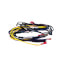 Wiring Harness for Steam Boilers w/ Float LWCO only, 540-130-957