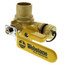1" Sweat x IPS Pro-Pal Full Port Ball Valve w/ Hose Drain (Lead Free)