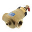 1-1/4" NPT 5463 Series DIRTMAG Dirt Separator with Magnet