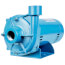 LGDR1S07-CP Close-Coupled End Suction Centrifugal Pump, 3/4 HP, 115 VAC