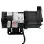 3-MD-MT-HC, Magnetic Drive Pump for Strong Acids, 1/25 HP (115V)