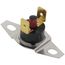 CO M/R Limit Switch 250F, 57W75