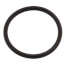 Spout O-Ring, 58155018