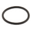 Spout O-Ring, 58155018