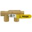1" x 1" Pro-Pal Full Port Brass Ball Valve w/ Reversible Handle, Primary/Secondary Loop Purge Tee