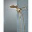 HydroRain H2OKinetic 5-Setting Two-in-One Shower Head (Champagne Bronze), 58680-CZ