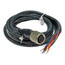 8-Conductor Cable Assembly with 8-Pin Female Connector (10 Ft.)