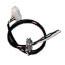 Wiring Harness, Control Module to Circulator for GV Boilers, 591-391-818