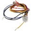 Wiring Harness, Control Module to: Thermostat, Block Switch, Limit, Pressure Switch, Gas Valve - for GV Boilers, 591-391-820