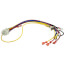 Wiring Harness, Control Module to: Thermostat, Block Switch, Limit, Pressure Switch, Gas Valve - for GV Boilers, 591-391-820