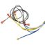 Standing Pilot Wiring Harness for CG, CGA Boilers, 591-391-862