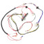 Low Voltage Wire Harness Assembly for Ultra Gas Boilers (Size 310), 591-391-941