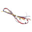 Wire Harness for ECO 155 (Low Voltage), 591-392-002
