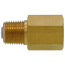 1/8" NPT Male Service Check Valve