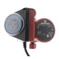 UP15-10SU7P TLC, Comfort Hot Water Recirculation Pump, 3/4" NPT, 115 V
