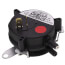 SPST Pressure Switch -.80" WC, 59W74