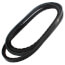 100" Browning V-Belt