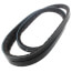 78" Browning V-Belt