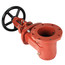 6" Gate Valve, OS&Y (F&G)