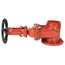 6" Gate Valve, OS&Y (F&G)