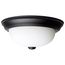 2 Light 11" Flush Mount Matte Black Finish Opal Glass