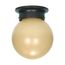 1 Light 6" Ceiling Mount w/ Champagne Linen Washed Glass (Pack of 2)