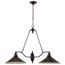 Bridgeview 2 Light 40" Island Pendant