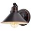 Bridgeview 1 Light Wall Sconce