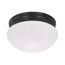 10" Mushroom Mahogany Bronze Frosted Glass Incandescent (Pack of 2)
