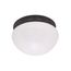 2 Light 12" Flush w/ Frosted Glass Mahogany Bronze Finish