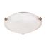 2 Light 16" Flush Mount Tri-Clip w/ Alabaster Glass