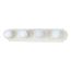 4 Light 24" Vanity Racetrack Style
