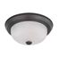 2 Light 11" Flush Mount w/ Frosted White Glass