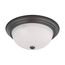 3 Light 15" Flush Mount w/ Frosted White Glass