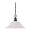 1 Light 16" Pendant w/ Frosted White Glass