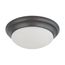 2 Light 14" Flush Mount Twist and Lock w/ Frosted White Glass