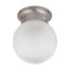 1 Light 6" Ceiling Mount w/ Frosted White Glass