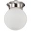 1 Light 6" Ceiling Mount w/ Frosted White Glass