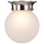 1 Light 6" Ceiling Mount w/ Frosted White Glass
