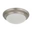 1 Light 12"Flush Mount Twist & Lock w/ Frosted White Glass