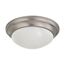 2 Light 14" Flush Mount Twist and Lock w/ Frosted White Glass