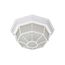 1 Light 12" Ceiling Spider Cage Fixture Die Cast Glass Lens Color retail packaging