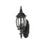 Central Park 1 Light 20" Wall Lantern w/ Clear Beveled Glass Color retail packaging