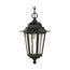 Cornerstone 1 Light 13" Hanging Lantern w/ Clear Seed Glass Color retail packaging