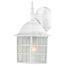 Adams 1 Light 14" Outdoor Wall w/ Frosted Glass Color retail packaging